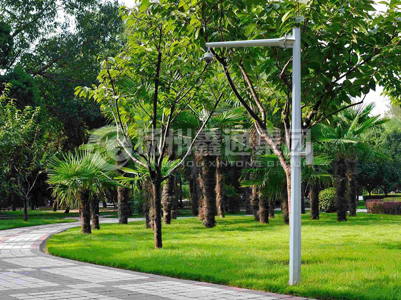 DJG-022，電子警察桿，八棱懸臂球機(jī)桿